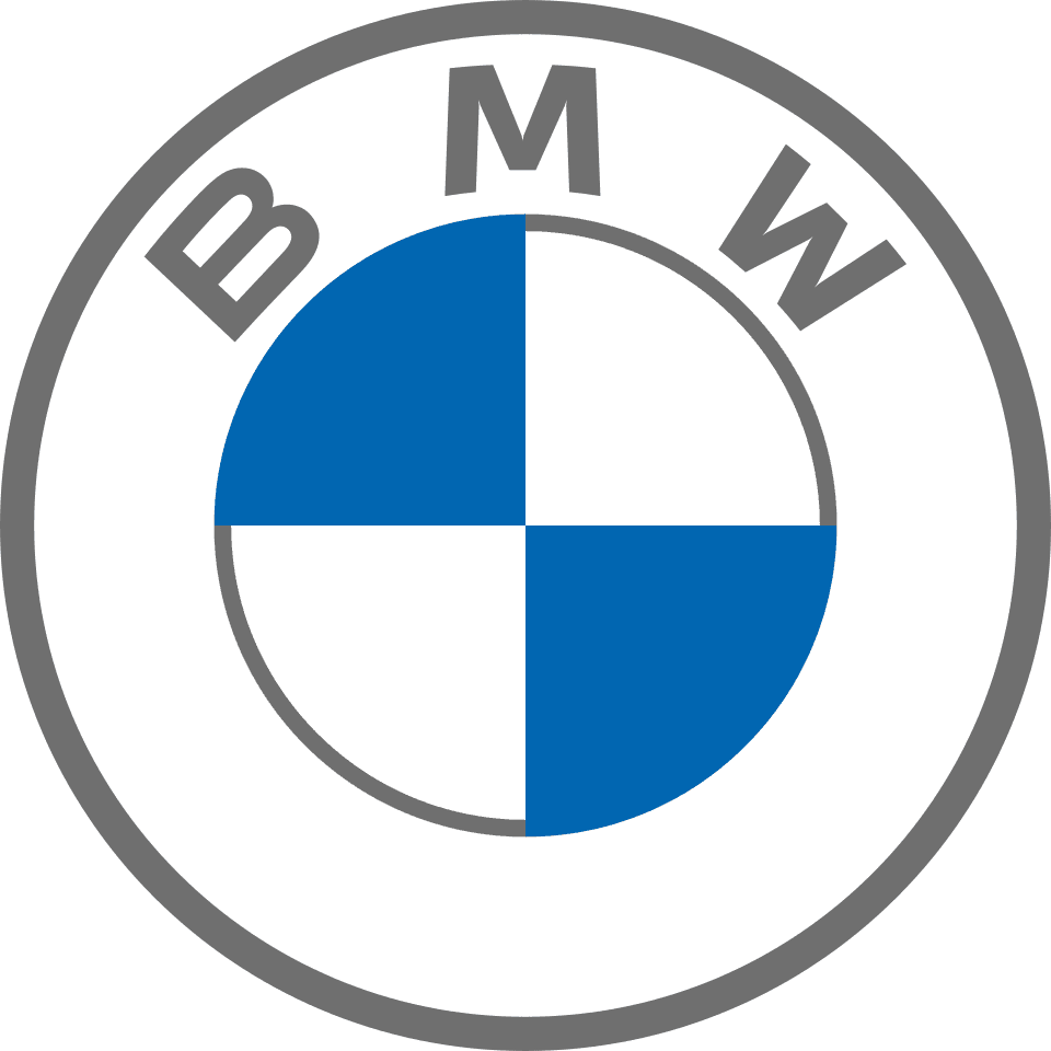 BMW logo  gray